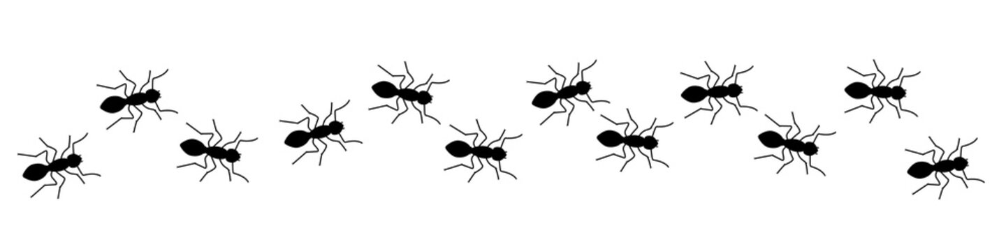Insect Insects ant ants emmet pismire banne.r Vector