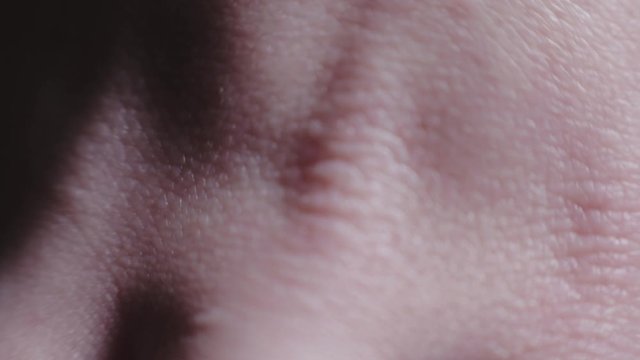 Young And Supple Looking Skin  Of The Hand - Extreme Closeup Shot