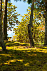 View of Harima central garden in Kato, Hyogo, Japan in spring