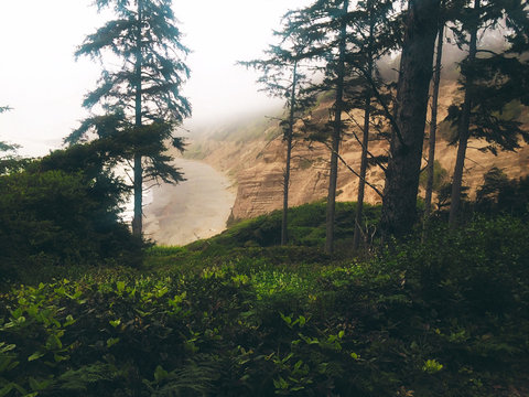 Beach At Patricks Point State Park