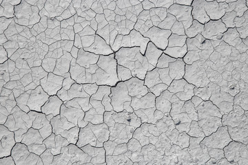 Dried cracked clay texture