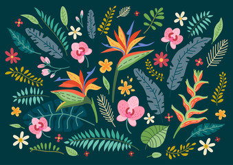 Collection of tropical flowers. A floral set