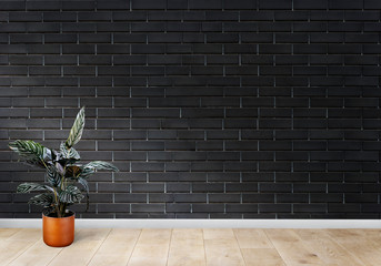 Room with a black brick wall