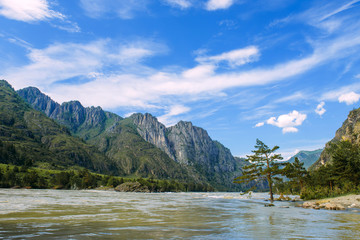 Picturesque mountain landscape on sunny summer day. River and rocky mountains against a blue sky. Pine tree stands in the water on the river bank.