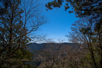 玉置神社 © こう