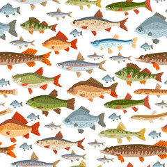 Seamless freshwater fish pattern. A vector seafood