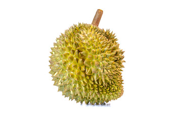 Monthong Durian is the most widely exported fruit in Thailand, isolated on white background.