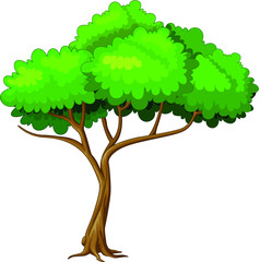 Green Leaves Tree Cartoon for your design