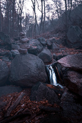 Waldwasserfall - 339055614