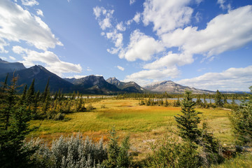 カナディアンロッキーの平原