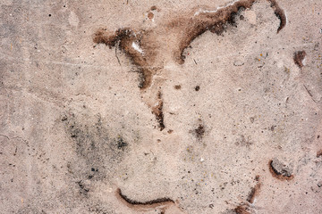 Texture of a concrete wall with cracks and scratches which can be used as a background
