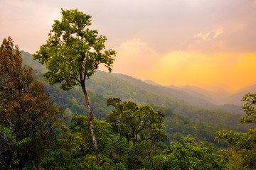 Obraz premium Tropical forest with mountains and majestic orange sky and clouds. Camping site at Maewong National Park, Nakhonsawan, Thailand.