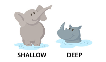 Words deep and shallow textcard with cartoon elephant and rhino characters. Opposite adjectives explanation card. Flat vector illustration, isolated on white background.