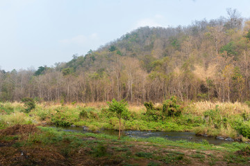 Fototapeta premium Tropical forest and waterfall dry season at Maewong National Park, Thailand.