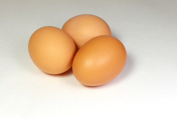 Chicken eggs on a white background. Brown eggs