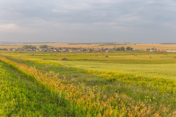 The harvest in the south Ural. Russia