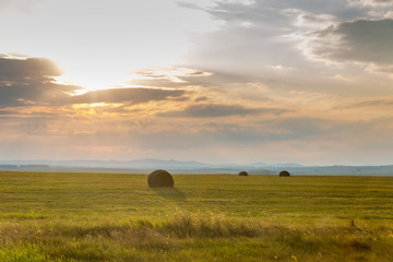 The harvest in the south Ural. Russia