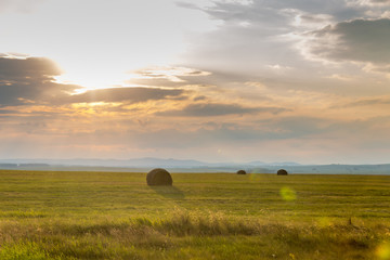 The harvest in the south Ural. Russia