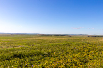 Fototapeta premium Valley of the Ural river, republic Bashkortostan, Russia