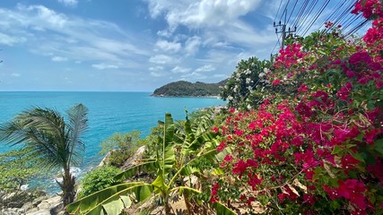 view of the ocean, green trees, palm leaves, large stones against a blue sky with white clouds, under the sun on a tropical island