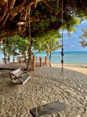 rope swing under a tree with green foliage on a tropical Sunny beach with white sand, clear sea water, blue sky and white clouds