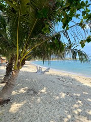 view of the ocean, green trees, palm leaves, large stones against a blue sky with white clouds, under the sun on a tropical island