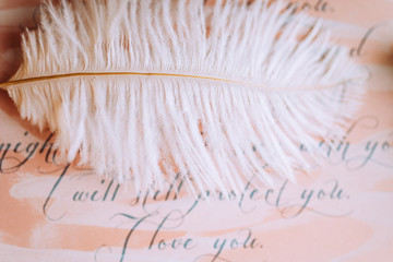 Wedding composition decorated with romantic invitation letter with white feather on the wooden table. Jewelry closeup details from morning of the bride.