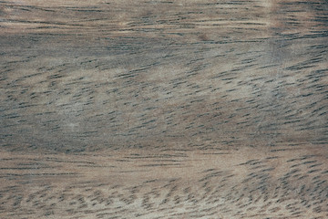 Wooden plank close up