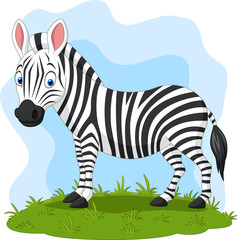 Fototapeta na wymiar Cartoon happy zebra in the grass