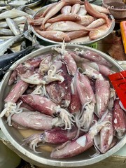 Muslim fish market with a large selection of fish and squid on the shelves