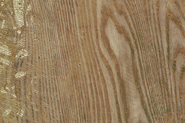 Wood texture background | Old plank design