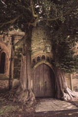 St Edwards Church in Stow on the Wold with two old trees growing either side of the entrance