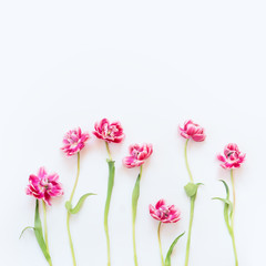 Obraz na płótnie Canvas Delicate pink tulips with stems and leaves on white background. Floral border. Springtime concept. Mother day greeting card. Beauty