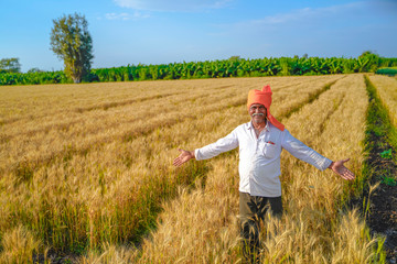 Naklejka na ściany i meble young indian farmer spreading his arms at wheat field