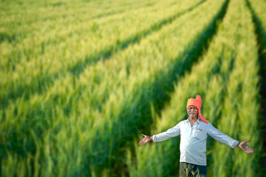 Young Indian farmer standing at wheat field