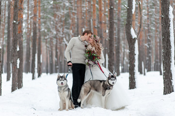 Cheerful bride and groom with two siberian husky are posed on background of snowy forest.