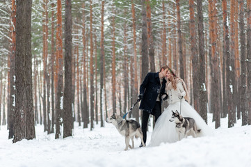 Cheerful bride and groom with two siberian husky are posed on background of snowy forest.