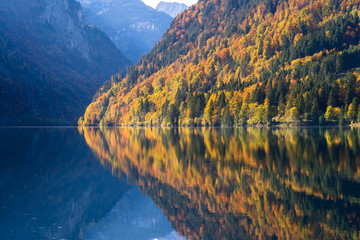 Herbst am Klöntalersee im Glarus in der Schweiz. Die farbigen Blätter reflektieren im Wasser - 339072059