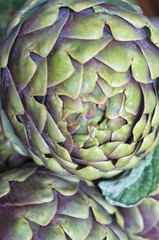 Raw artichokes close up with copy space