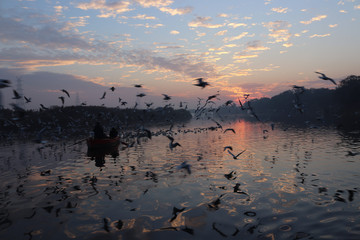 Naklejka premium Beautiful sunrise in Delhi (Yamuna Ghat) during winter