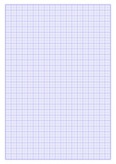 Graph paper A4 With a blue grid border