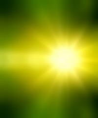 Sun shine on summer greens abstract background. Defocus pattern. Nature blur empty template. 