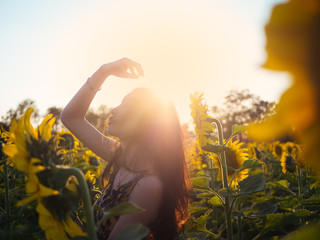 young woman in a field of sunflowers , sunset light, sunset in a field of sunflowers
