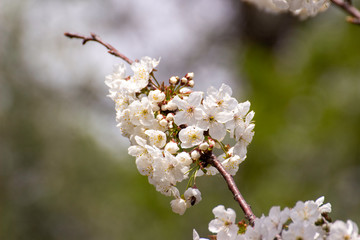 How nice the beginning of spring!