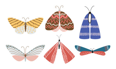 Set of isolated different beautiful colorful butterflies with various patterns