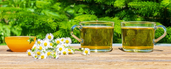 two cups of green chamomile tea, honey in a bowl and a bunch of camomile on the table close-up...