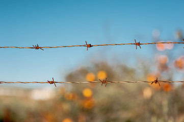 oxidized barbed wire with orange and blue blurred background