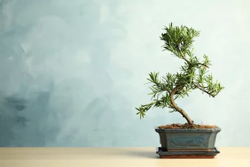 Tuinposter Japanse bonsai plant op houten tafel, ruimte voor tekst. Thuis een zen-sfeer creëren © New Africa