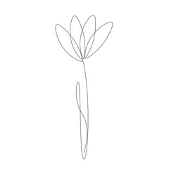 Flower one line drawing, vector illustration