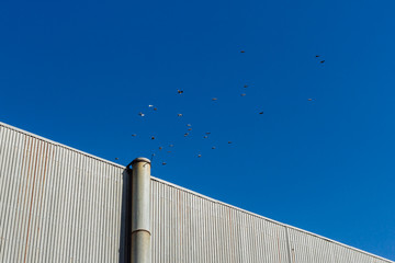 Factory-built forced ventilation pipe, urban pipe